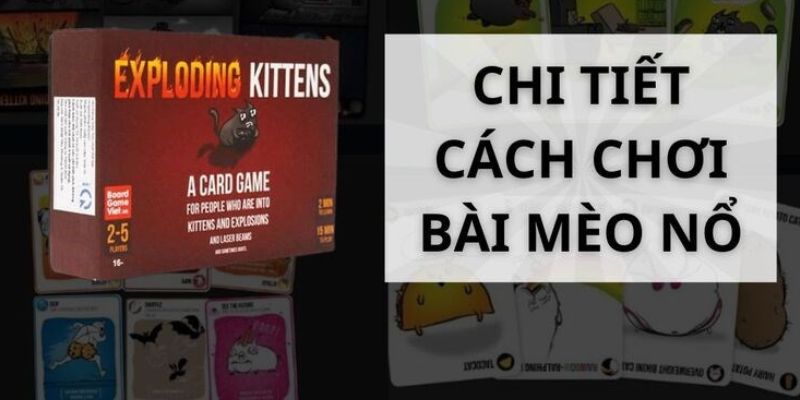 Hướng dẫn cách chơi mèo nổ không nên bỏ qua