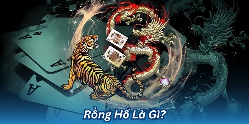 Khái quát về rồng hổ tại GameVui