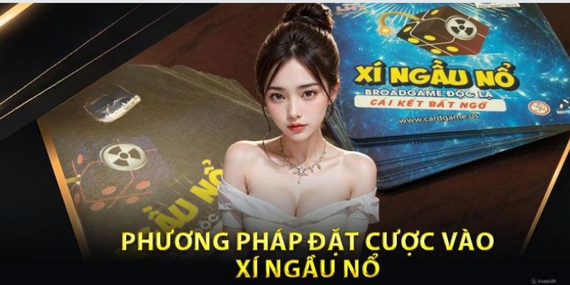 Thông tin về thẻ bài trong cách chơi xí ngầu nổ